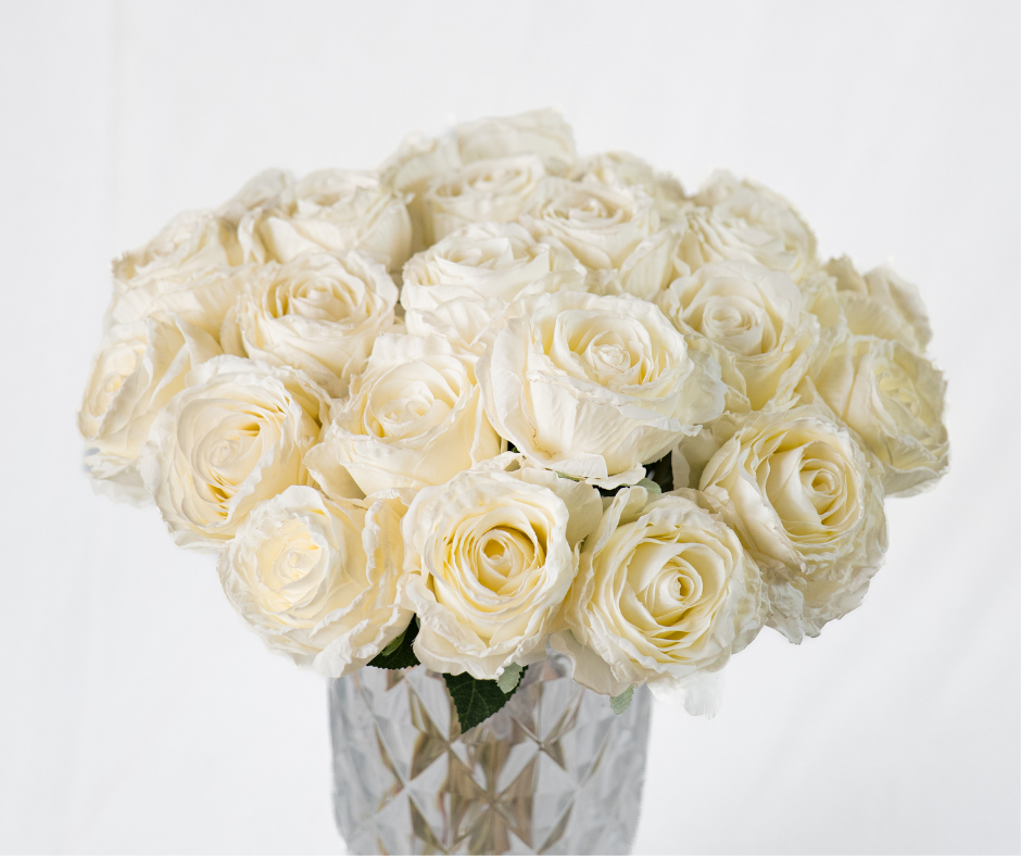 Classic Cream Rose