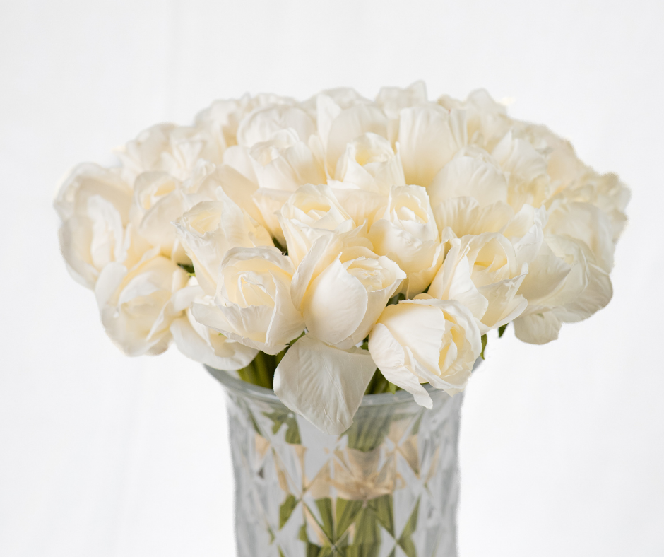 Classic Cream Rose