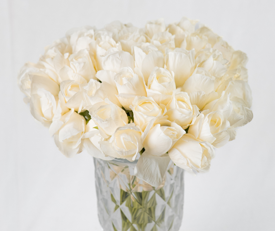 Classic Cream Rose