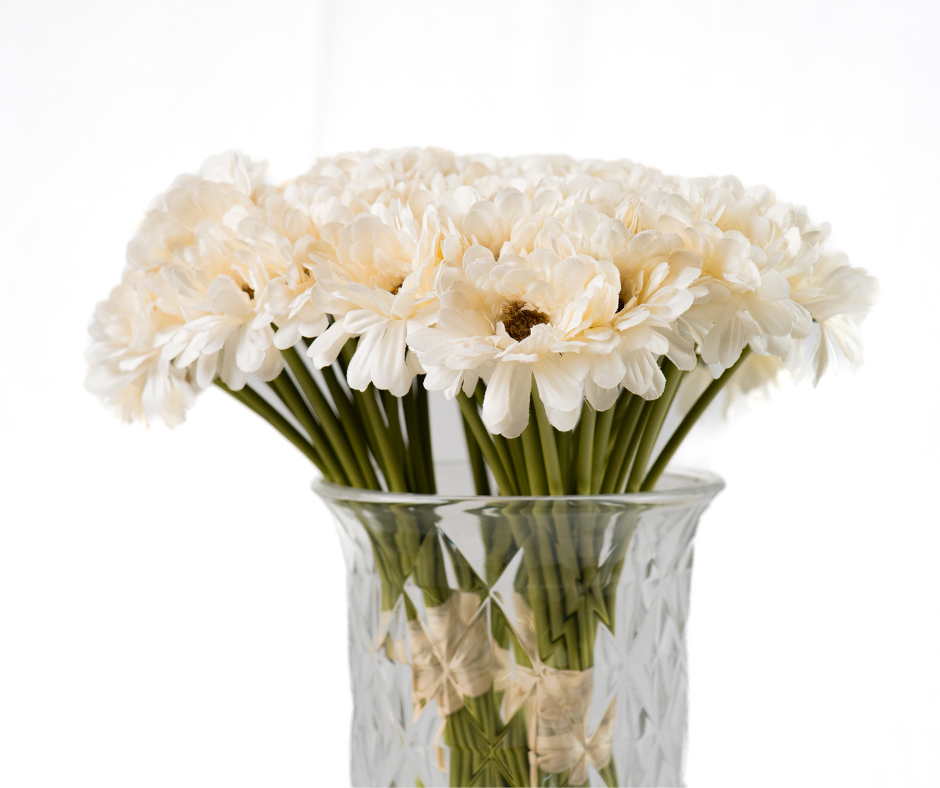 Cream Daisy Bouquet