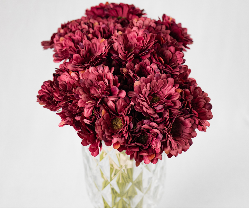 Wine-Toned Daisy Bouquet