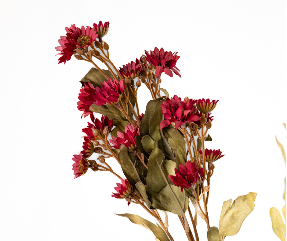 Deep Red Autumn Stem