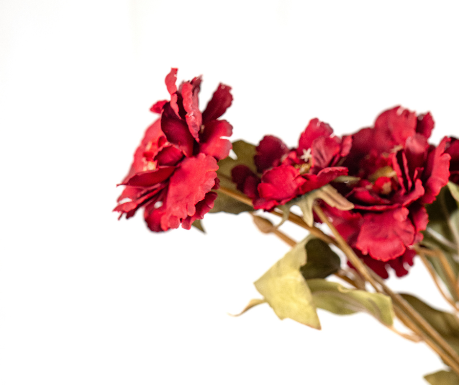 Ruby Blossom Stem