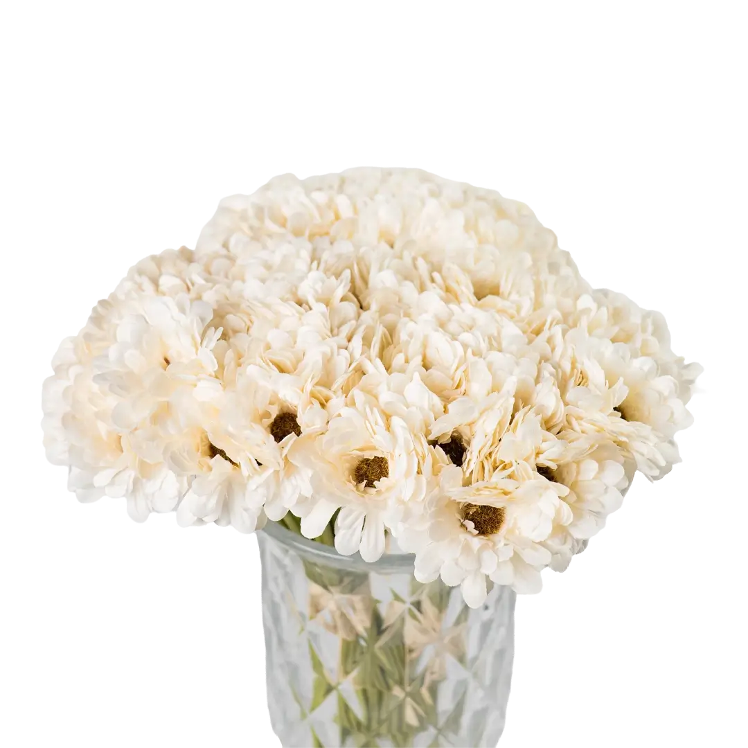 Ivory Daydream Daisies (26 piece bunch)