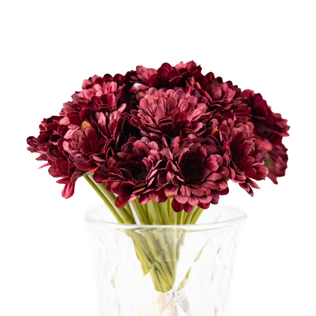 Merlot Meadow Daisy (26 piece bunch)