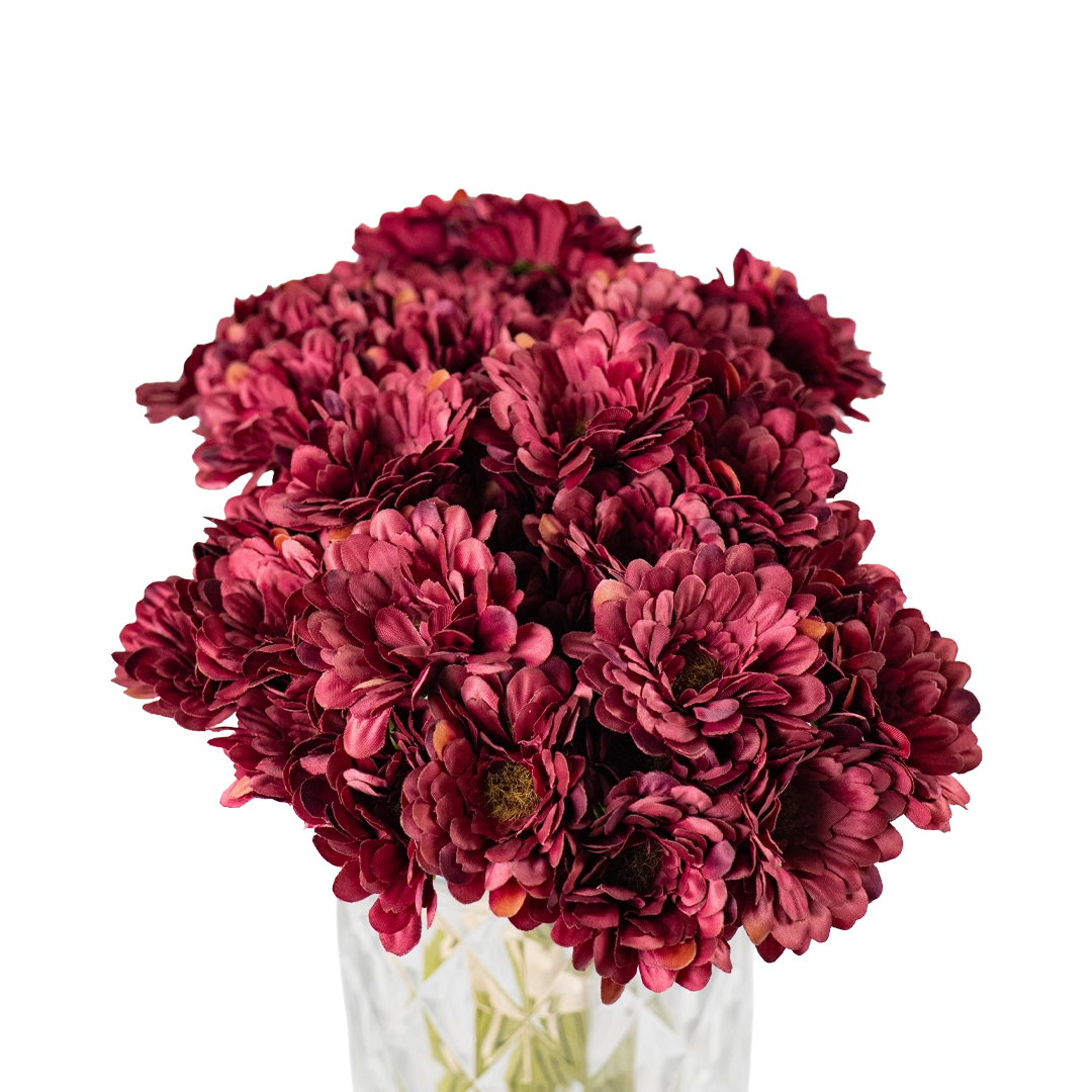 Merlot Meadow Daisy (26 piece bunch)