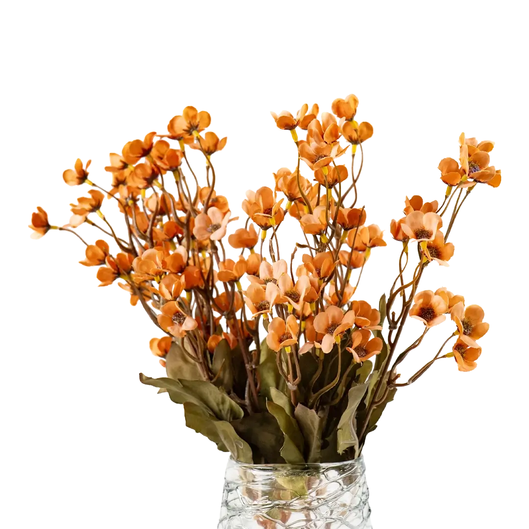 Sunlit Waxflower Stem