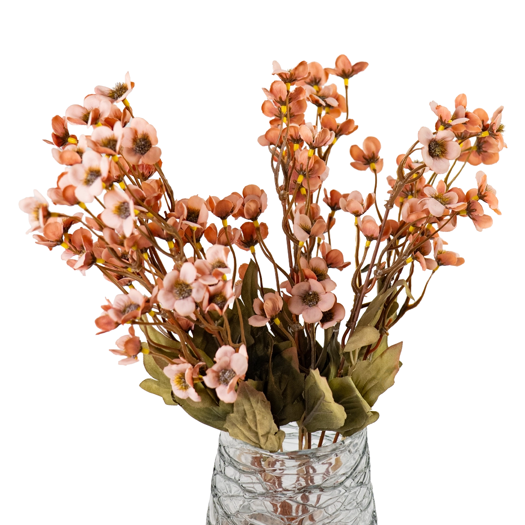 Sunlit Waxflower Stem