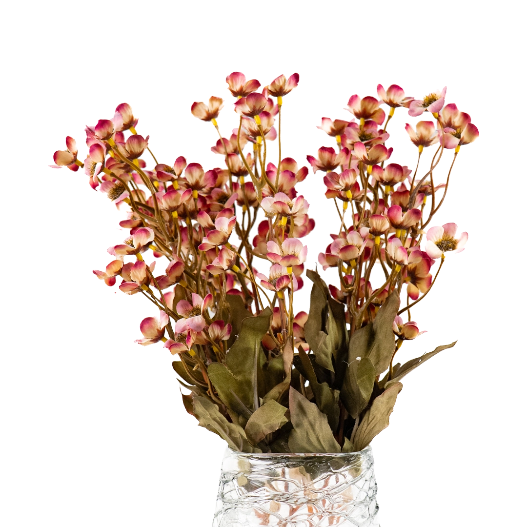 Sunlit Waxflower Stem