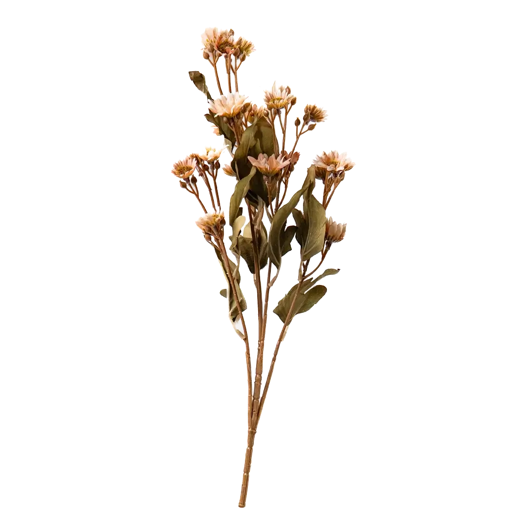 Daisy Drift Stem - Peach