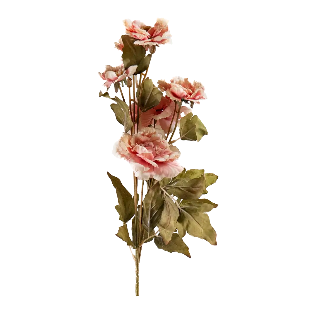 Peony Cloud Stem - Pink