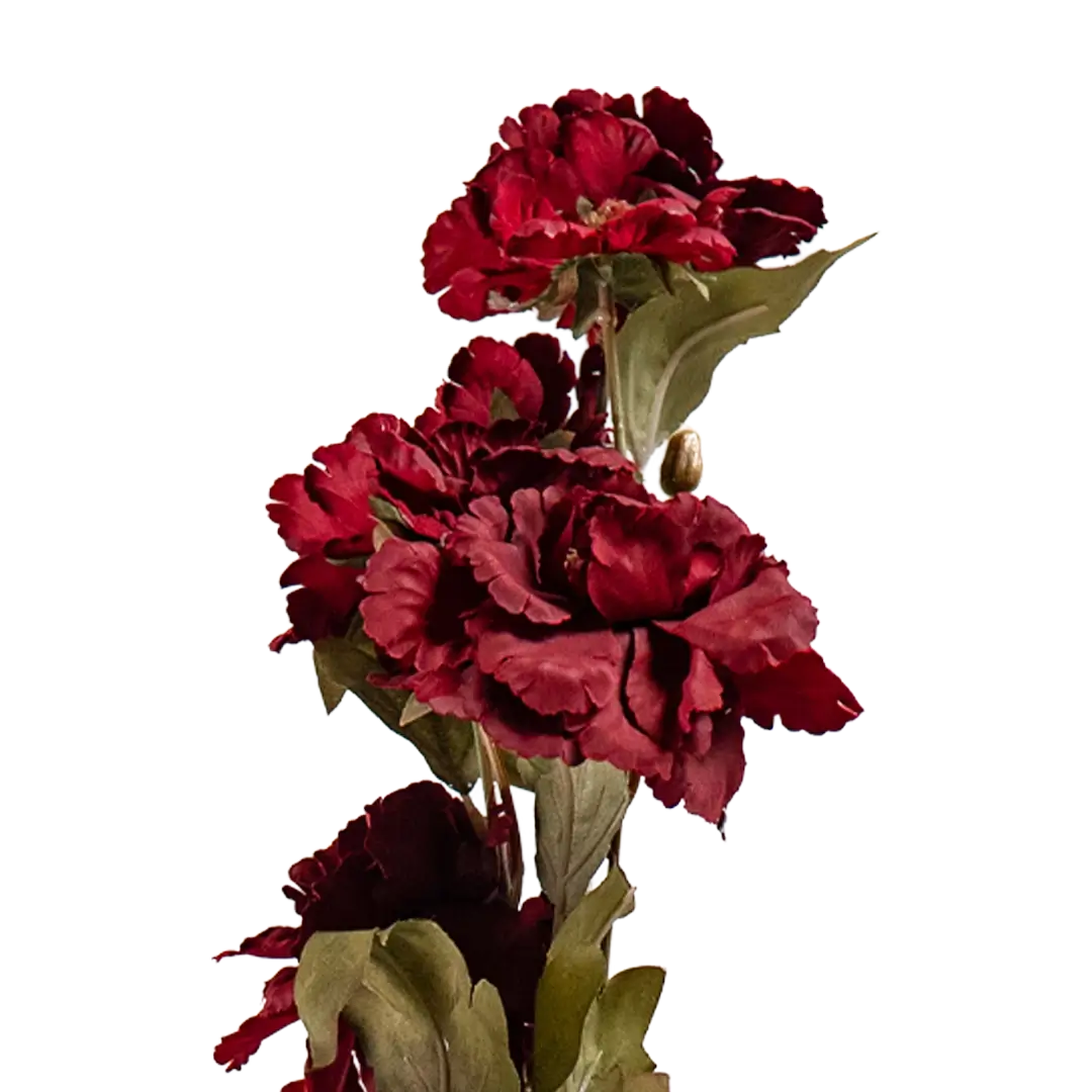 Peony Cloud Stem - Red