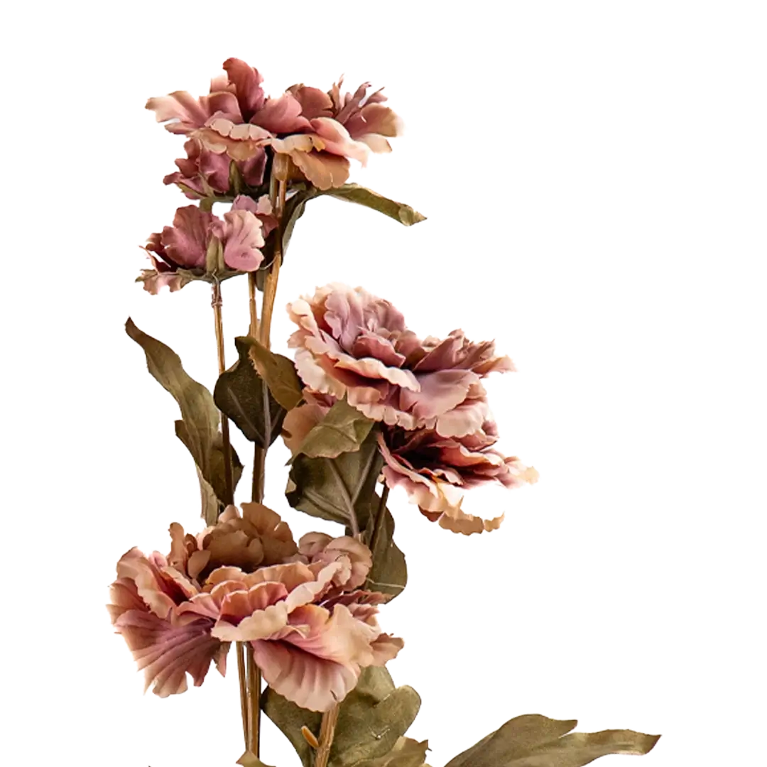 Peony Cloud Stem - Dark Pink