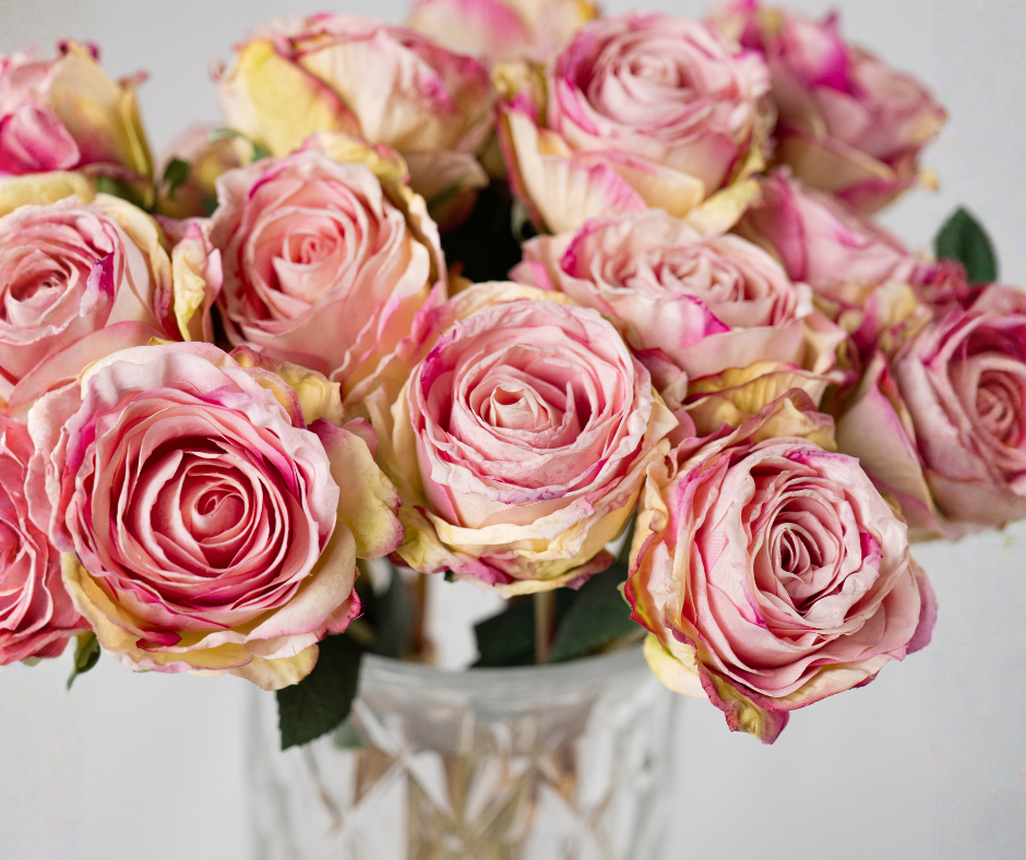 Antique Pink Roses