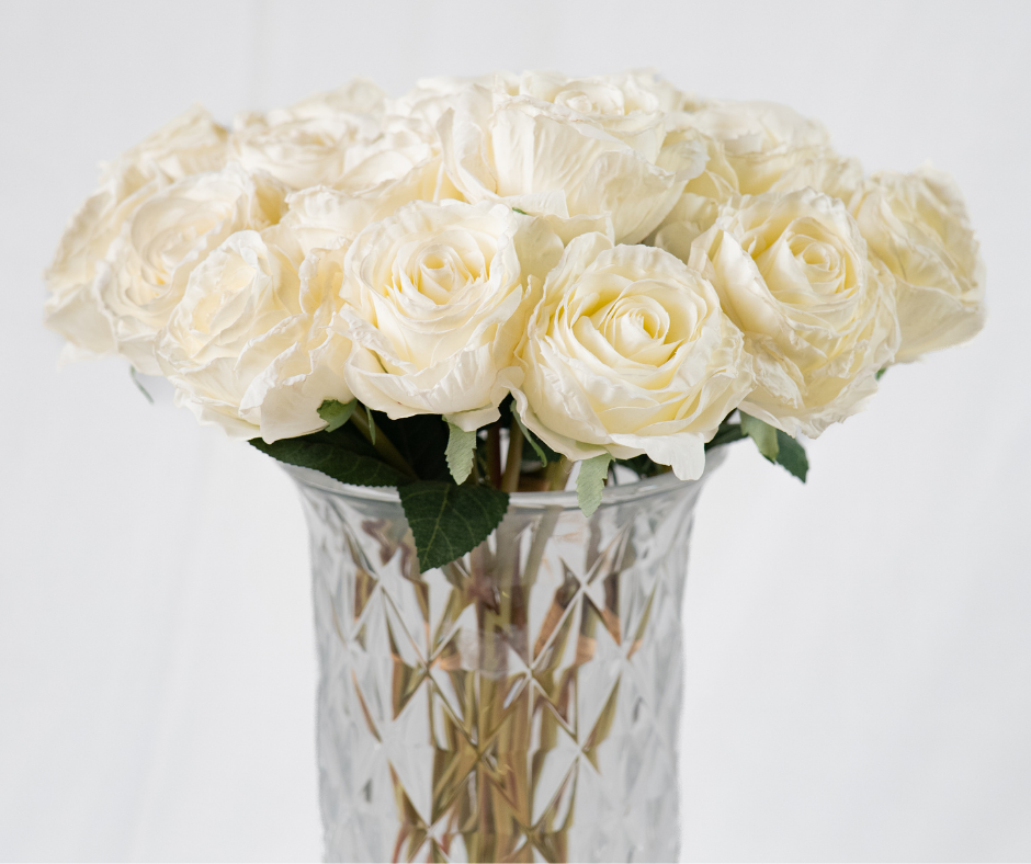 Classic Cream Rose