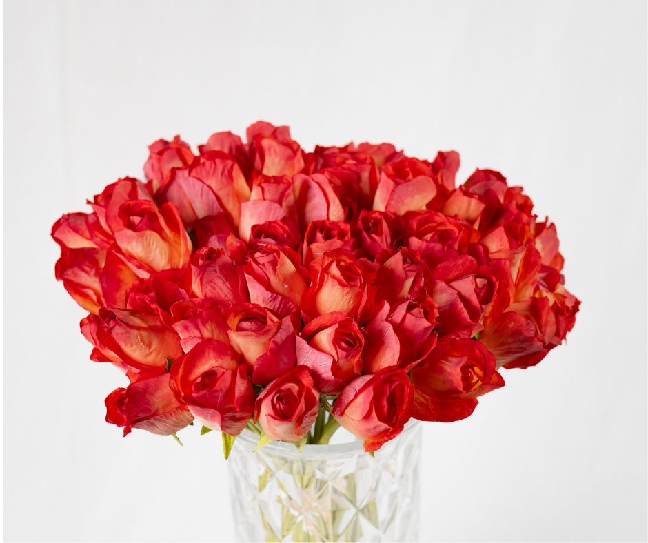 Flame Rose Bouquet