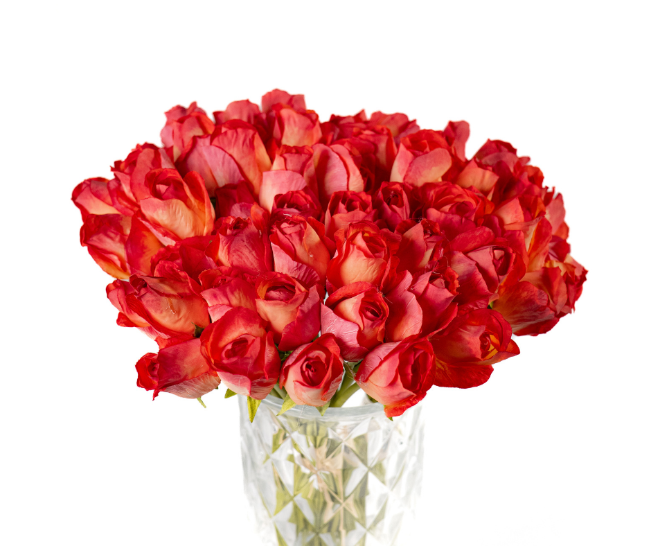 Flame Rose Bouquet