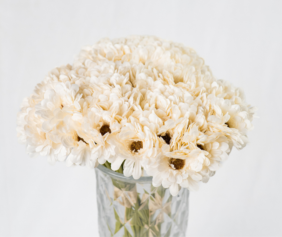 Cream Daisy Bouquet