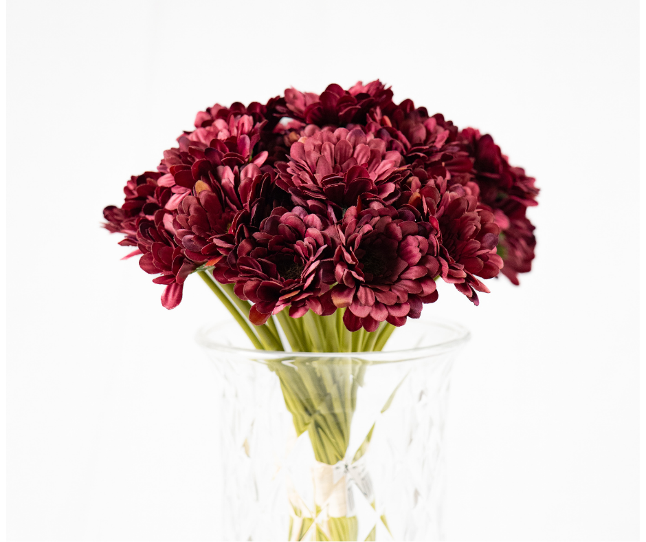 Wine-Toned Daisy Bouquet