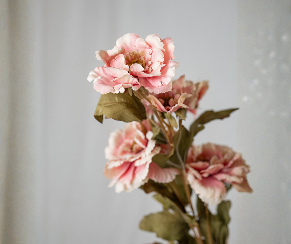 Soft Pink Blossom Stem