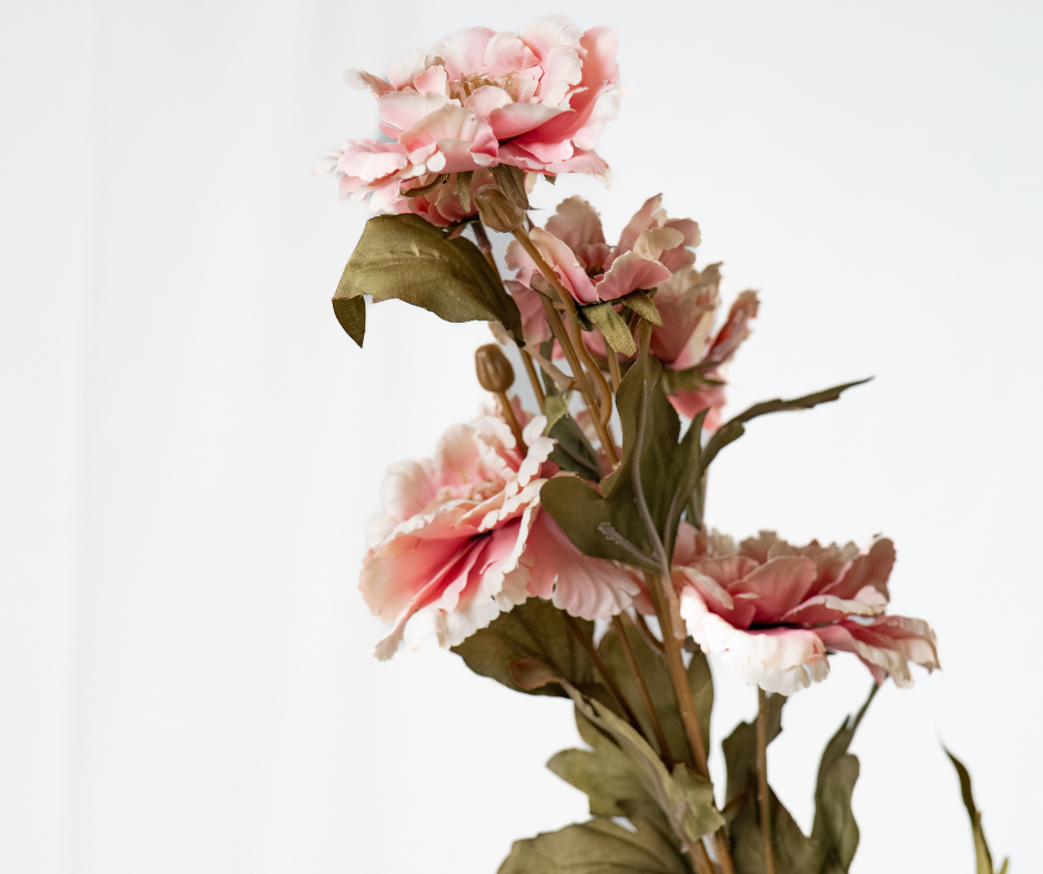 Soft Pink Blossom Stem