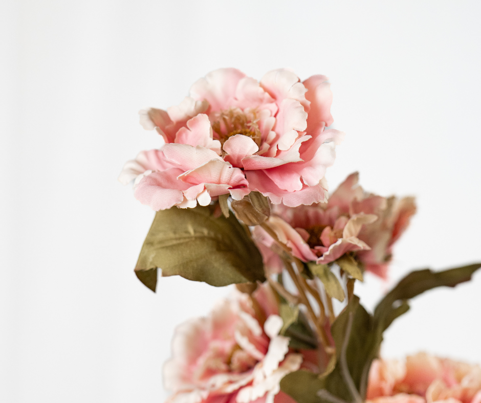 Soft Pink Blossom Stem