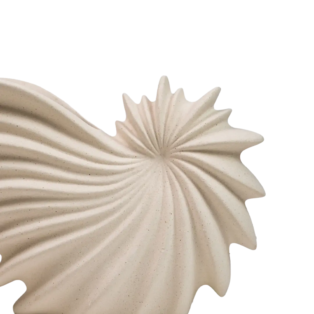 Ivory Tideshell
