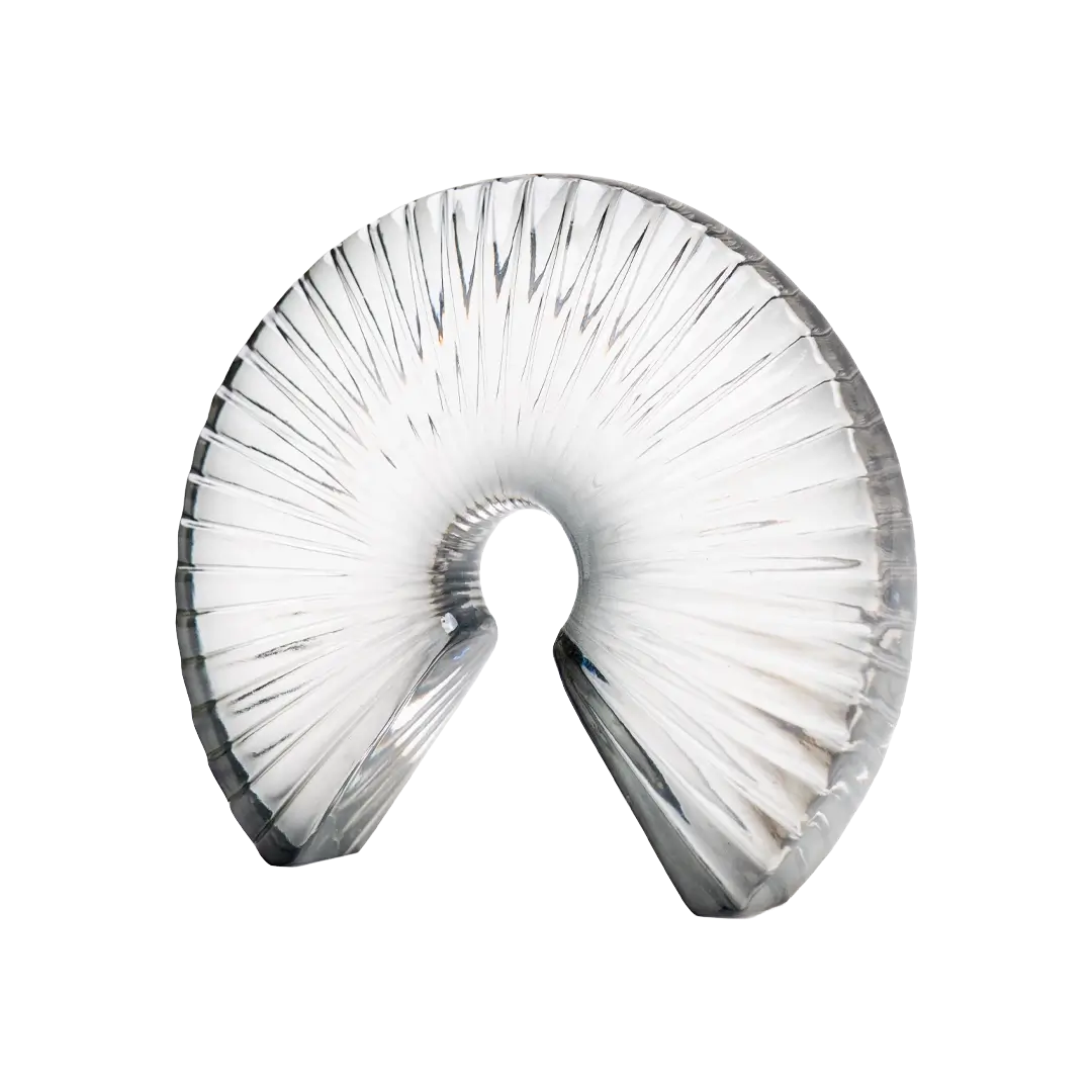 Moonlit Nautilus