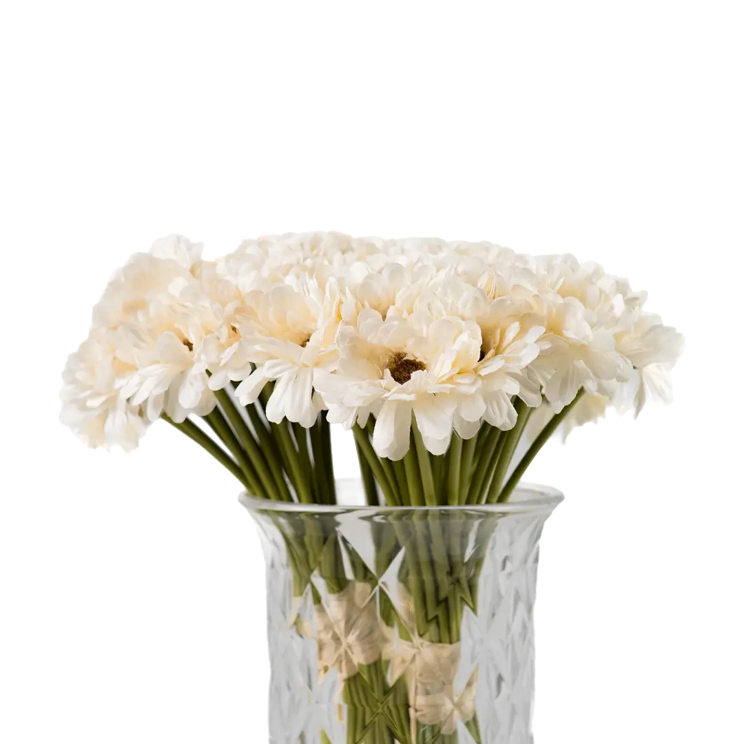 Ivory Daydream Daisies (26 piece bunch)
