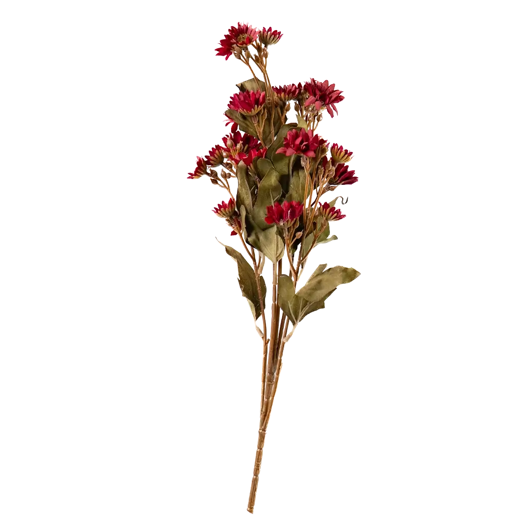 Daisy Daybreak Stem - Red