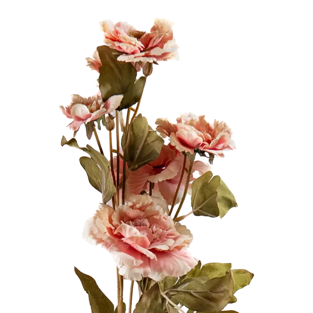Peony Cloud Stem - Pink