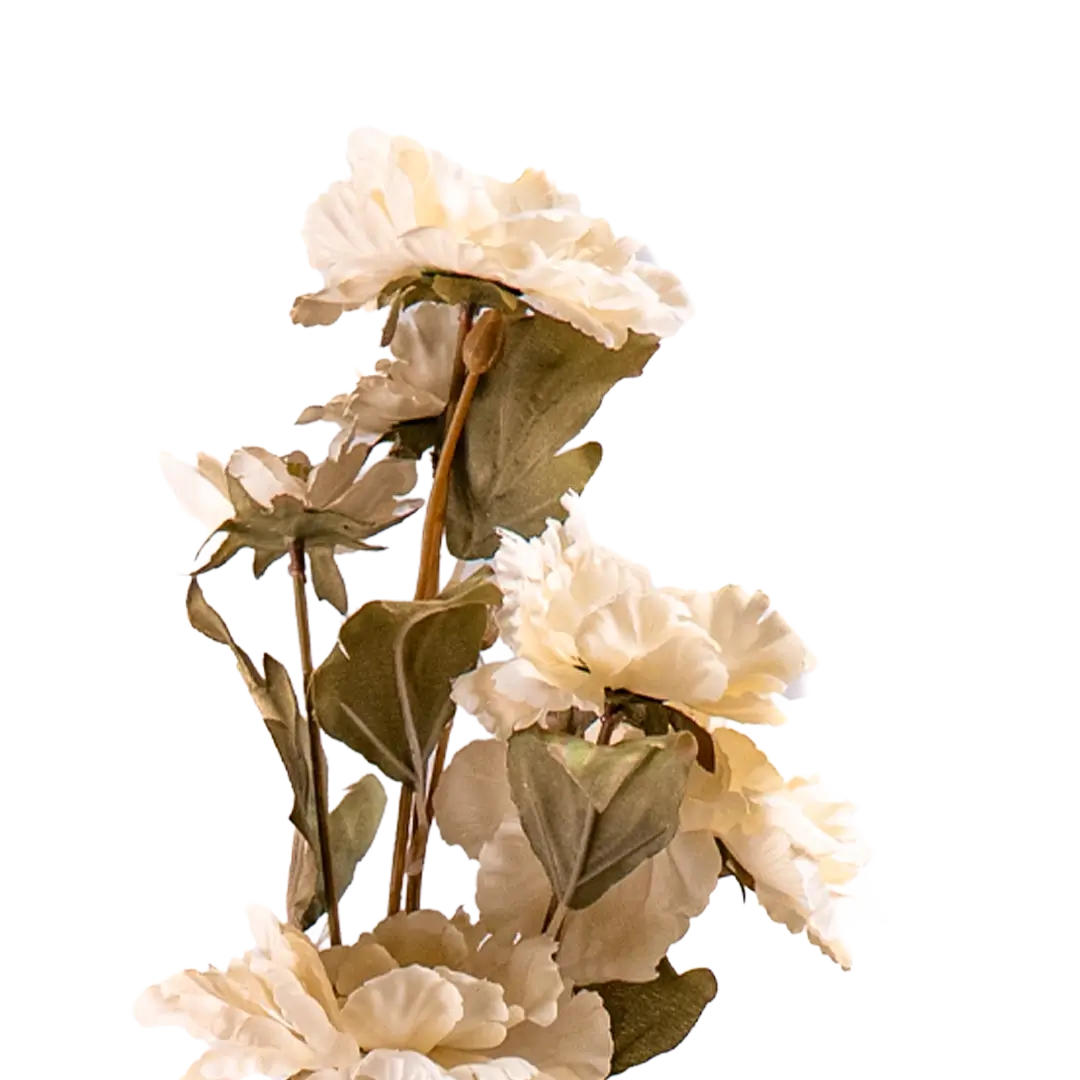 Peony Cloud Stem - White